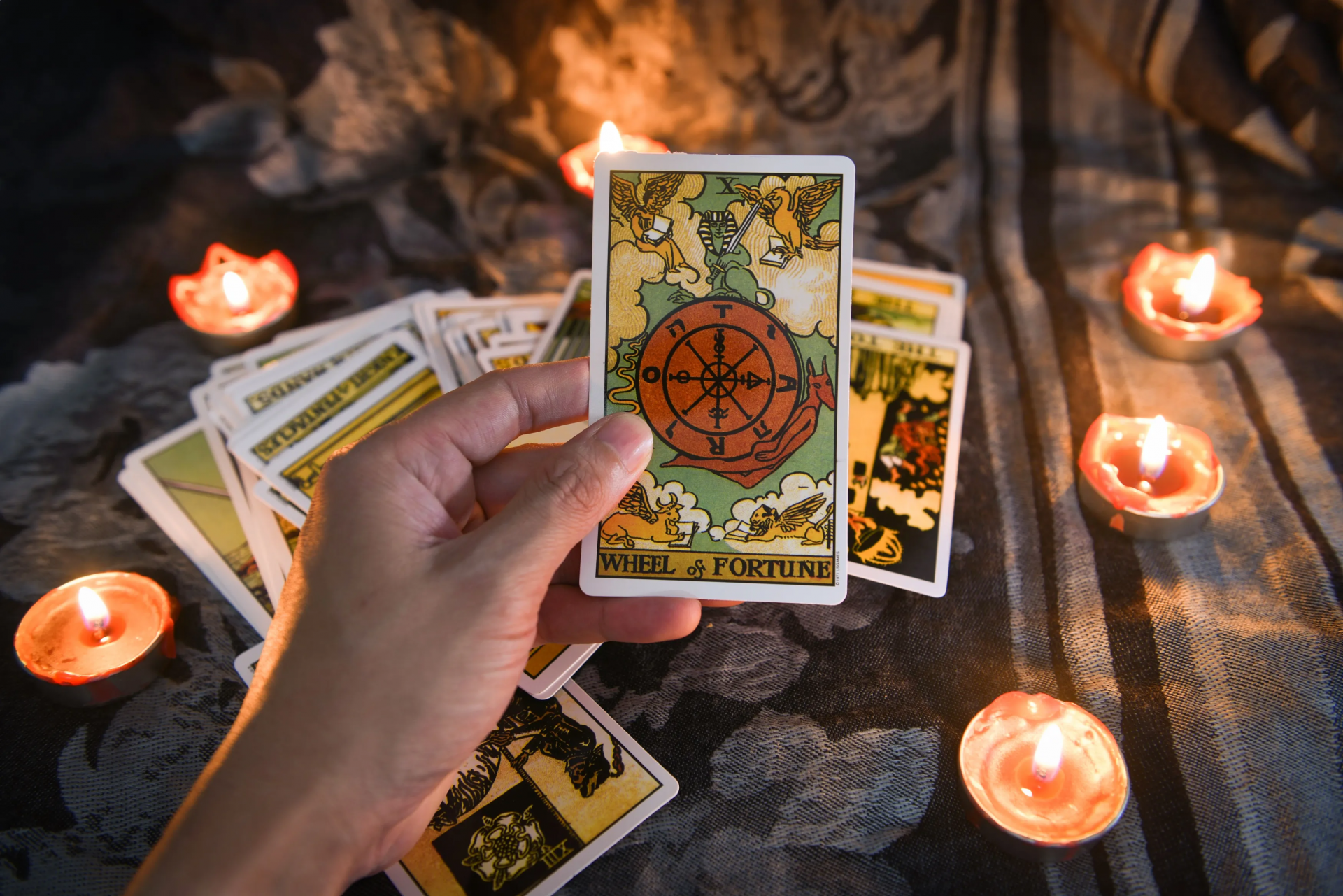 Tarot Falı 